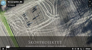 Skovprojekt Østrup Præstegård.